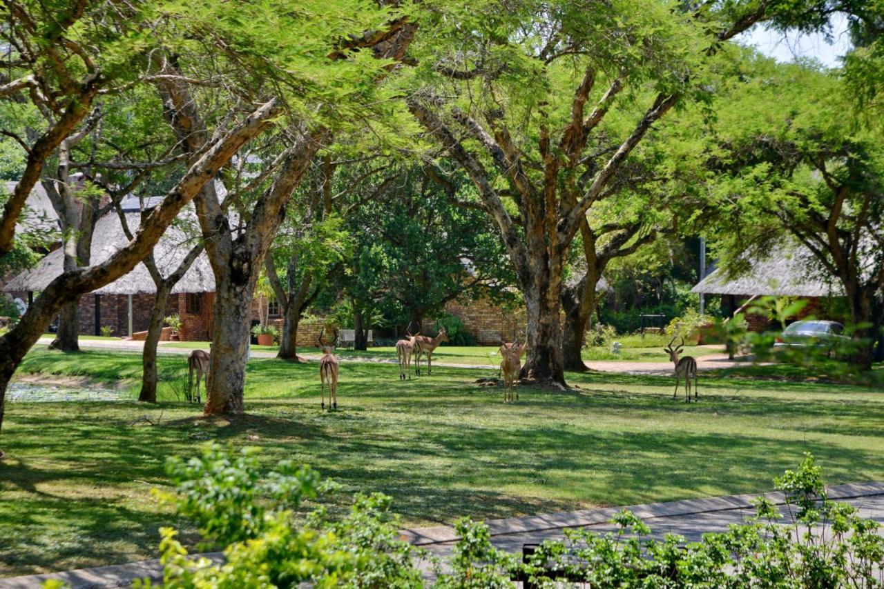Cambalala - Luxury Units - In Kruger Park Lodge - Serviced Daily, Free Wi-Fi Хейзивю Екстериор снимка
